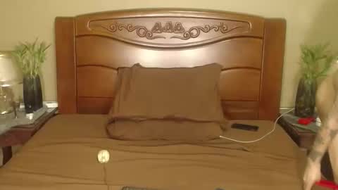 lulu_wild online show from April 10, 2026, 8:30 am