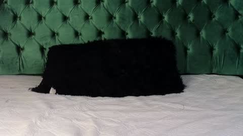 Lumars online show from January 29, 2025, 1:37 am