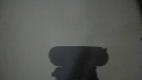 Snapshot of lumineverligth chatting on June 25, 2026, 3:06 am Emily online show from June 25, 2026, 3:06 am