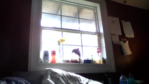 Snapshot of lunasecretadmirer chatting on February 14, 2026, 7:21 pm lunasecretadmirer online show from February 14, 2026, 7:21 pm