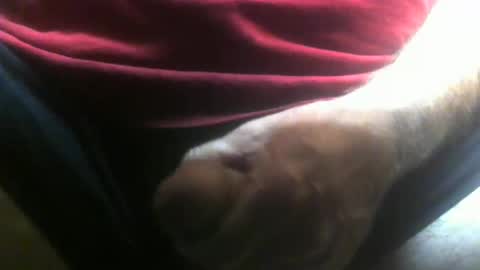 Snapshot of lunatica12 chatting on February 10, 2026, 4:27 am lunatica12 online show from February 10, 2026, 4:27 am