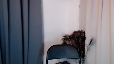 lustyseraphina online show from February 20, 2026, 6:52 pm