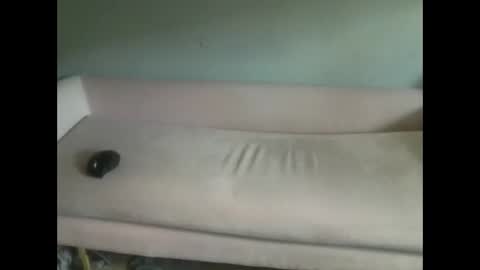 luvmesluts online show from October 6, 2025, 7:33 pm