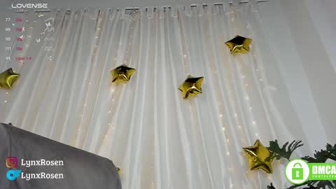 Snapshot of lynxrosen chatting on January 18, 2025, 12:13 am Lynx Rosen online show from January 18, 2025, 12:13 am