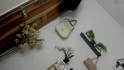 Snapshot of m1ssjanelana69 chatting on February 13, 2026, 12:50 am Janelovesu online show from February 13, 2026, 12:50 am