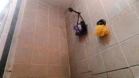 Snapshot of mace_shwanger chatting on July 1, 2026, 7:57 pm Mace Shwanger online show from July 1, 2026, 7:57 pm