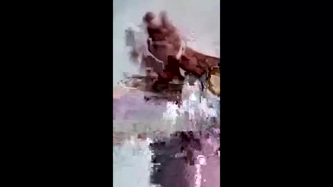 Snapshot of maciasbraulio846 chatting on February 7, 2026, 6:50 am maciasbraulio846 online show from February 7, 2026, 6:50 am