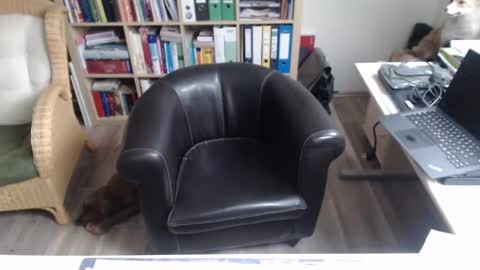 Mad4You online show from December 12, 2024, 1:28 pm