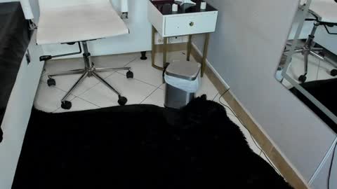 Marge online show from December 29, 2024, 12:41 am