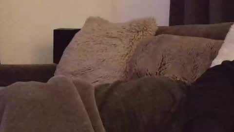 magic_passionitaliano online show from March 3, 2026, 6:36 pm