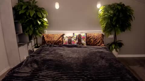 Emily online show from December 2, 2025, 6:30 am