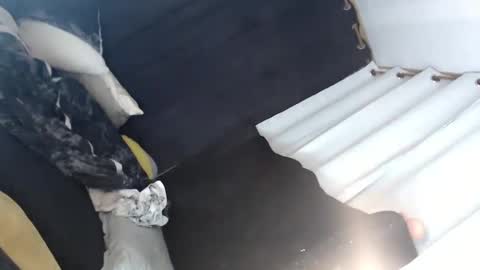 Lei online show from January 12, 2025, 7:11 am