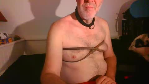 Snapshot of malebdsmslut chatting on February 16, 2025, 8:21 am CommandbondageNipples bondage kink submissive lovense slave wgear. modequiethvyBondage If Password goldfish online show from February 16, 2025, 8:21 am