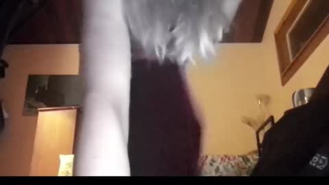 mangoseeed online show from November 1, 2025, 11:12 am