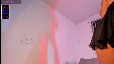 manuela_jaramillo online show from February 19, 2026, 5:03 am