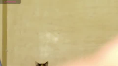 Snapshot of manumeow_ chatting on June 18, 2026, 1:06 am Manu online show from June 18, 2026, 1:06 am