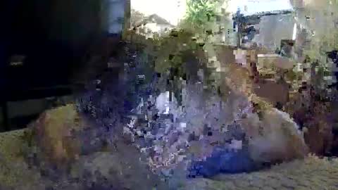 Snapshot of marc_313 chatting on May 9, 2026, 10:42 am Marc online show from May 9, 2026, 10:42 am