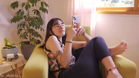 Alfonsina online show from January 17, 2026, 3:17 pm