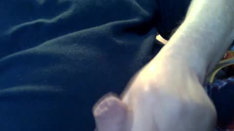 Snapshot of marko_th chatting on February 8, 2026, 11:19 pm marko_th online show from February 8, 2026, 11:19 pm