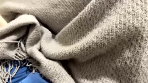 Snapshot of marriedthickdick37 chatting on January 12, 2025, 10:12 pm marriedthickdick37 online show from January 12, 2025, 10:12 pm