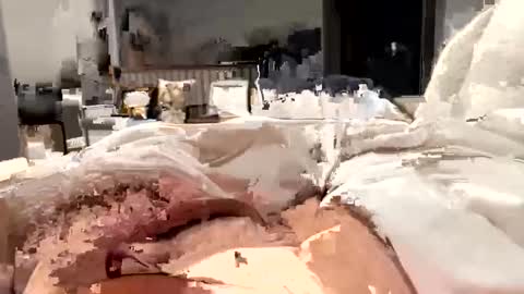 Snapshot of marriedthickdick37 chatting on February 12, 2025, 5:37 am marriedthickdick37 online show from February 12, 2025, 5:37 am