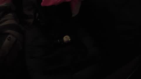 Snapshot of martamoontrans chatting on November 17, 2025, 10:32 am martamoontrans online show from November 17, 2025, 10:32 am