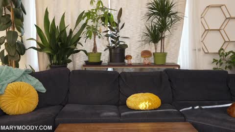 Mary Moody online show from March 9, 2026, 12:47 am