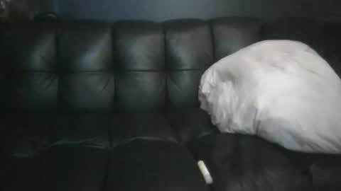 Masc39 online show from April 12, 2026, 12:37 am