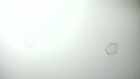 MashaPink online show from April 7, 2026, 12:38 pm