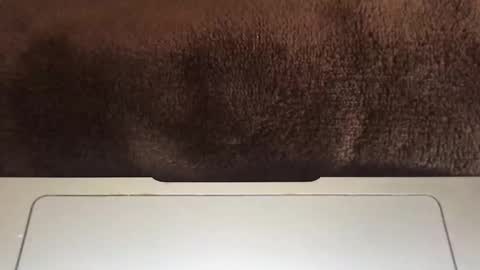 Snapshot of massivehungbigdick chatting on June 2, 2026, 9:06 pm massivehungbigdick online show from June 2, 2026, 9:06 pm