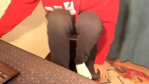 Silly Rabbit  online show from December 15, 2024, 8:15 pm