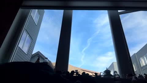 masturbatingmariamiller online show from February 4, 2026, 8:47 pm