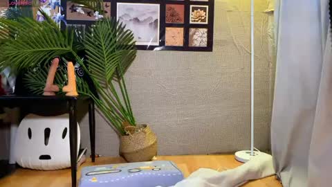 SuSu online show from January 16, 2026, 3:32 am