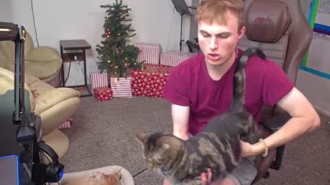 Snapshot of mattcashxxx chatting on December 12, 2024, 2:04 am Matt Cash online show from December 12, 2024, 2:04 am