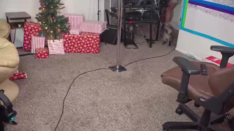Snapshot of mattcashxxx chatting on December 14, 2024, 2:12 am Matt Cash online show from December 14, 2024, 2:12 am