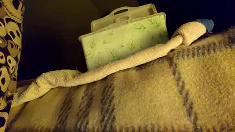 mattshadows667 online show from January 20, 2025, 2:22 am