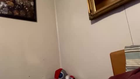 maturejerky online show from February 27, 2025, 10:31 pm