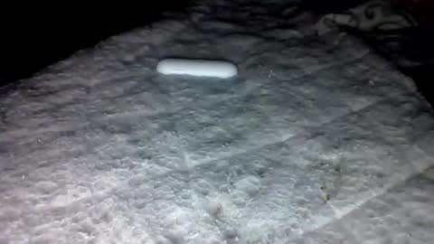 mauricescott online show from February 3, 2026, 6:22 am