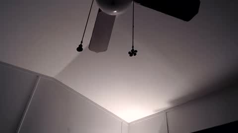 Max and Pam Voyeur Cam online show from November 28, 2025, 10:29 am