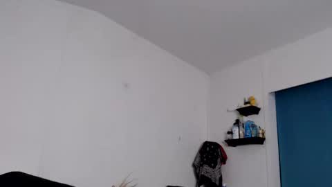 Max and Pam Voyeur Cam online show from December 4, 2025, 8:01 am