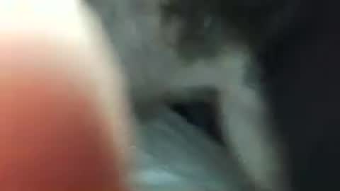 maxxou69hot online show from May 3, 2026, 9:59 am