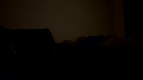 Snapshot of mb99667788 chatting on February 24, 2026, 3:15 am mb99667788 online show from February 24, 2026, 3:15 am