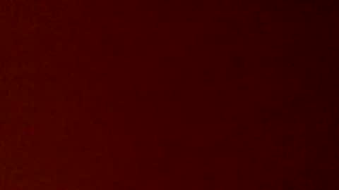 mdguy4200 online show from September 17, 2025, 2:24 am