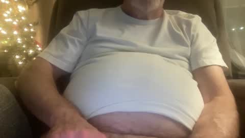 Snapshot of megabigkahuna chatting on December 26, 2024, 6:19 am whatever you want it to be online show from December 26, 2024, 6:19 am