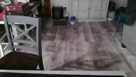 Snapshot of meganfitzy chatting on February 26, 2025, 12:27 am GlamTransGoddess online show from February 26, 2025, 12:27 am