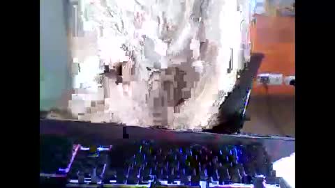 Snapshot of meks5544 chatting on April 12, 2026, 11:15 am meks5544 online show from April 12, 2026, 11:15 am