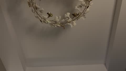 Adel online show from January 11, 2025, 7:16 pm