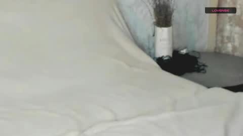 Snapshot of melmooon chatting on December 12, 2024, 7:37 pm MelMooon online show from December 12, 2024, 7:37 pm