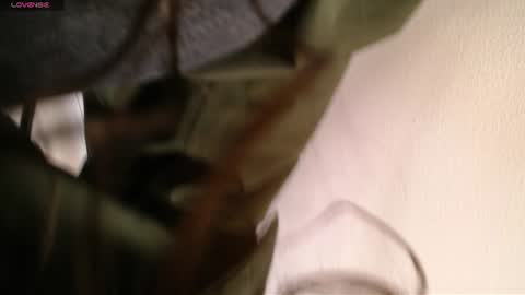 Snapshot of melodiroux_ chatting on June 23, 2026, 12:58 pm Melodi online show from June 23, 2026, 12:58 pm