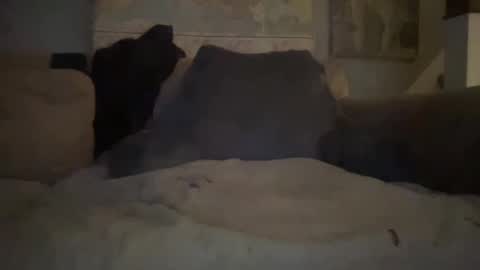 Snapshot of melt13 chatting on January 1, 2025, 2:41 am melt13 online show from January 1, 2025, 2:41 am